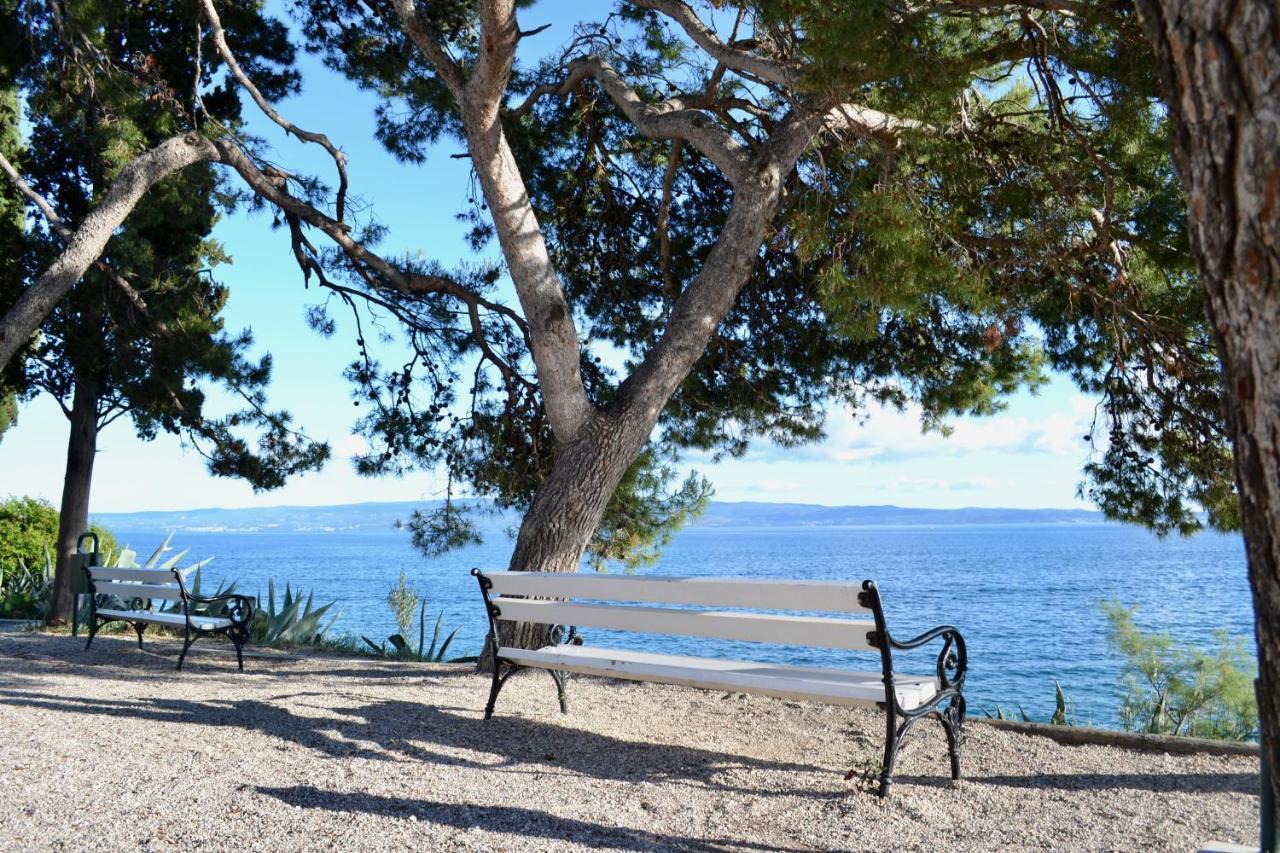 Olive Tree Apartments Сплит Екстериор снимка